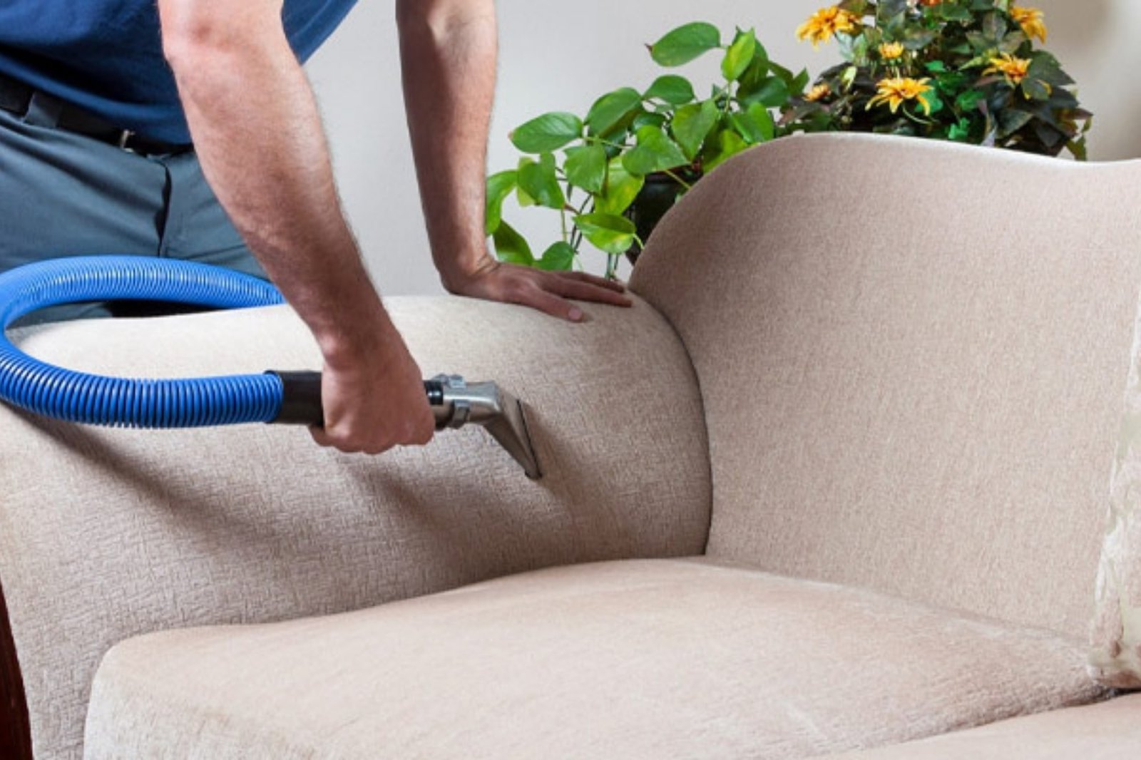 upholstery cleaning service toronto