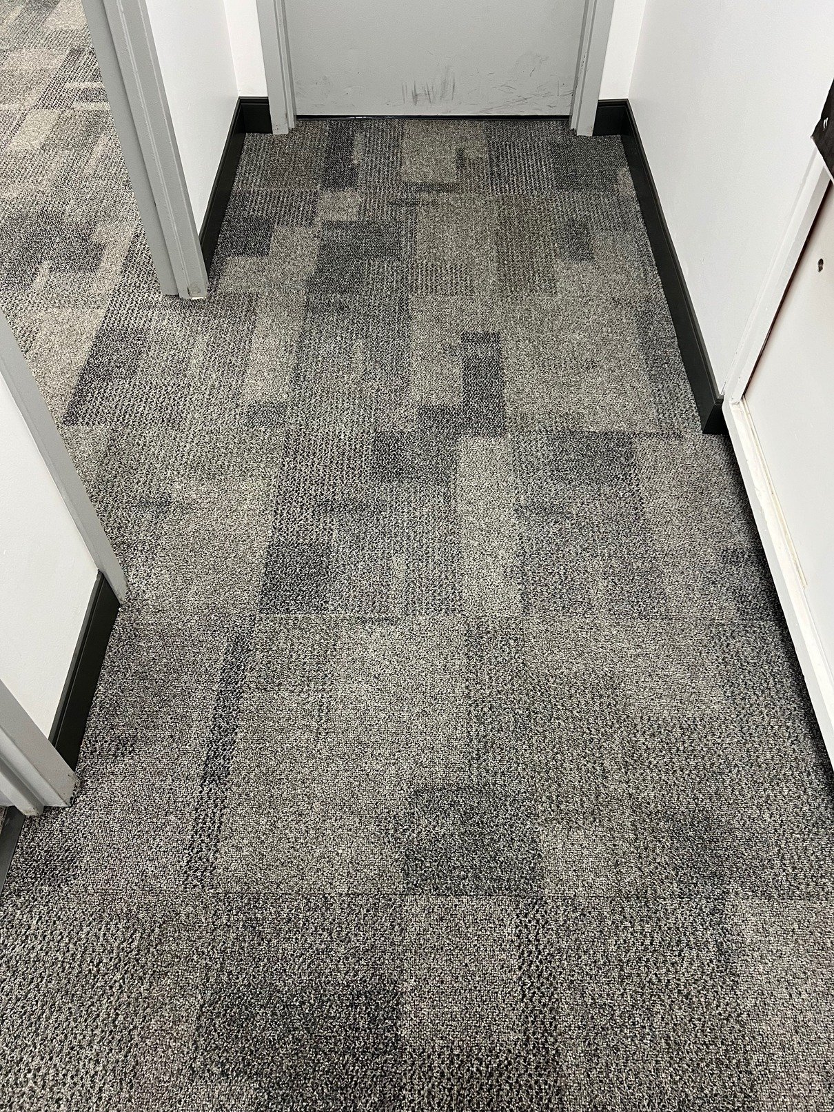 toronto carpet cleaning